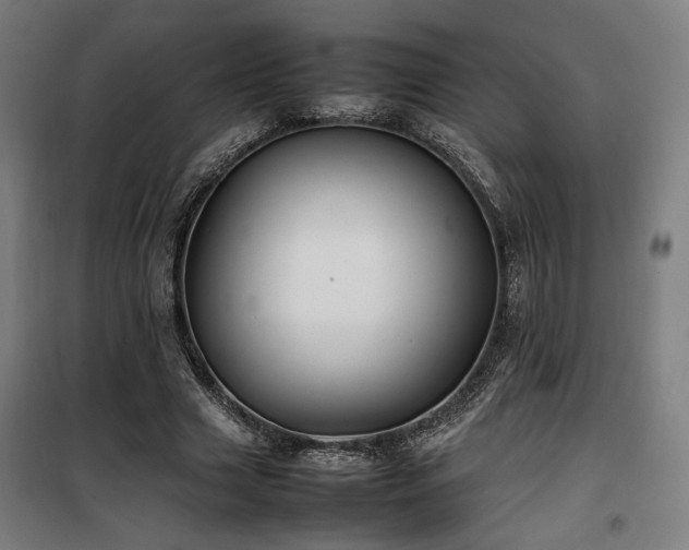 X0000100190633200805301248
