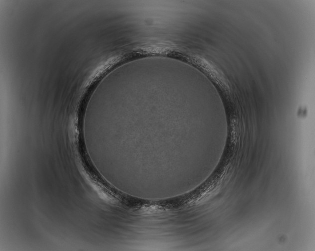 X0000100190634200805301248