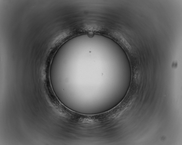 X0000100190635200805301248