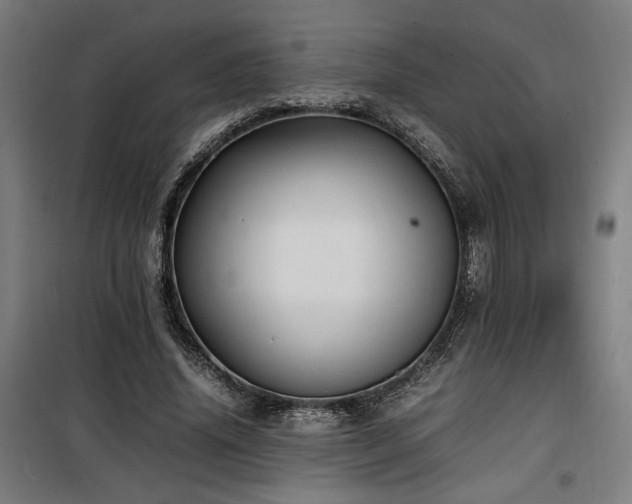 X0000100190636200805301248
