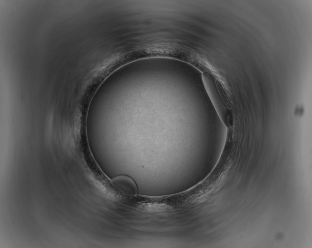 X0000100190637200805301248