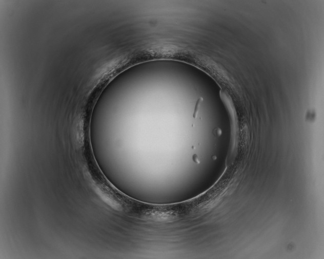 X0000100190638200805301248