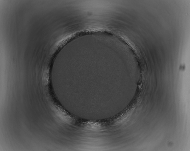 X0000100190640200805301248