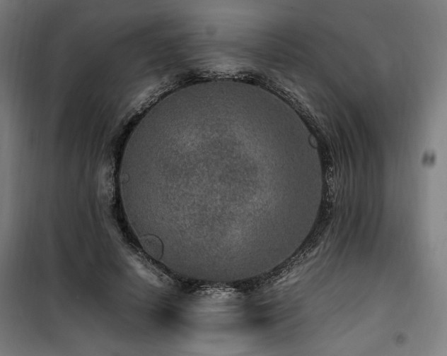 X0000100190642200805301248