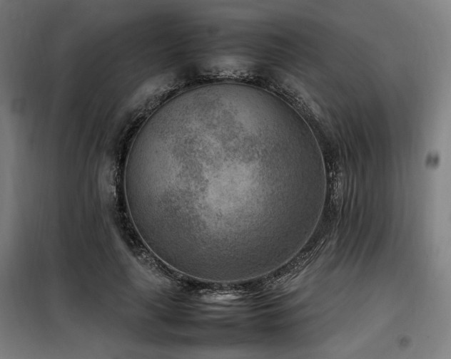 X0000100190643200805301248