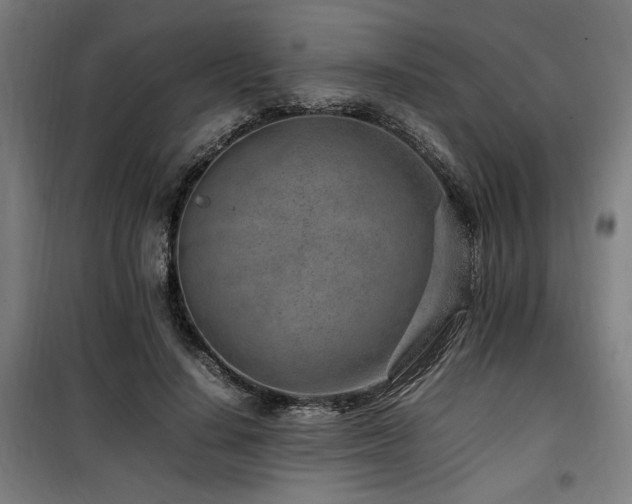 X0000100190644200805301248