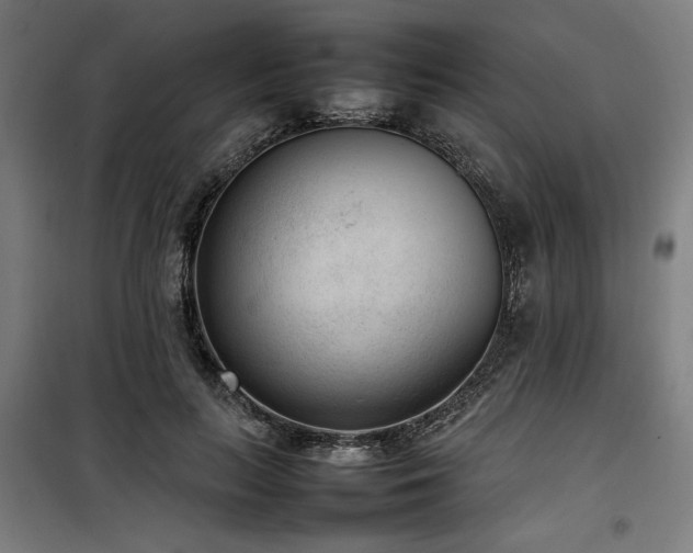 X0000100190647200805301248