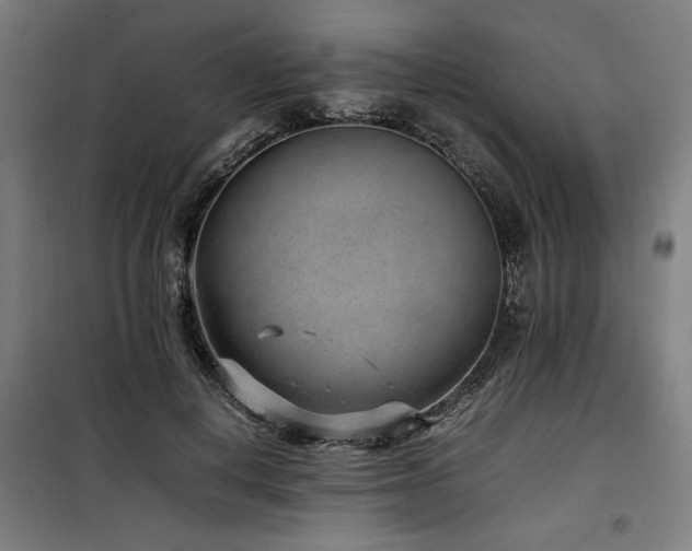 X0000100190648200805301248