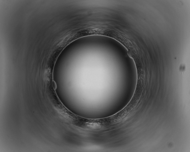 X0000100190649200805301248