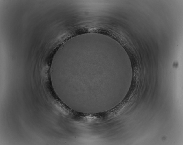 X0000100190650200805301248
