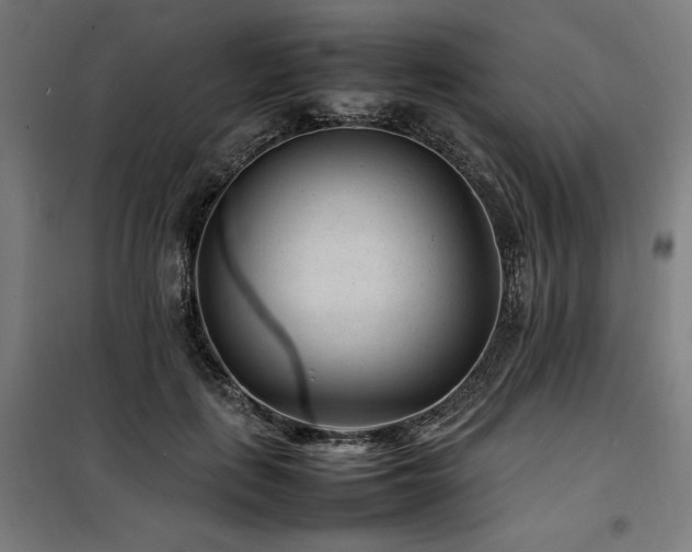 X0000100190651200805301248