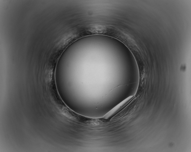 X0000100190652200805301248
