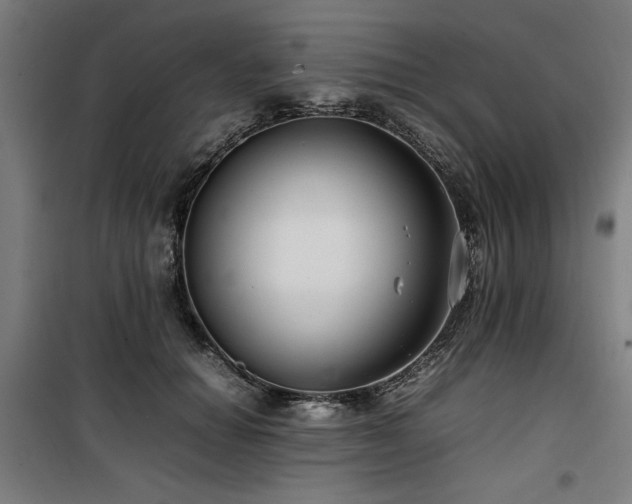 X0000100190654200805301248