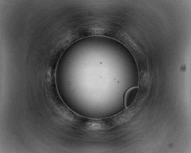 X0000100190655200805301248