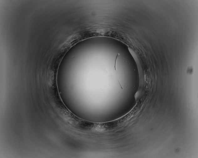 X0000100190656200805301248