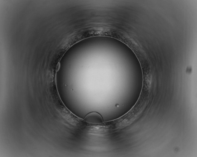 X0000100190657200805301248