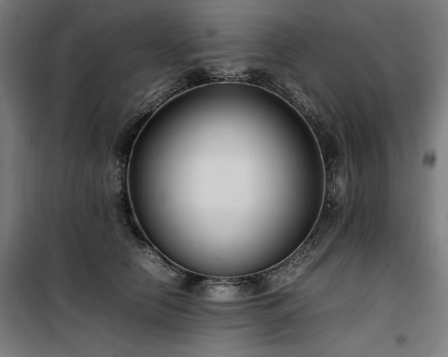 X0000100190658200805301248