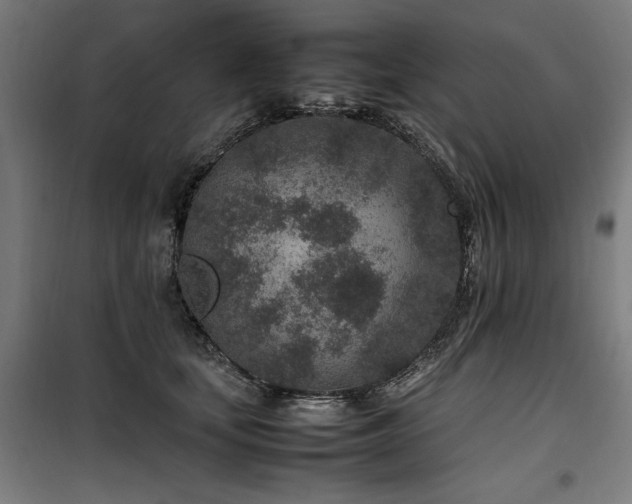 X0000100190659200805301248