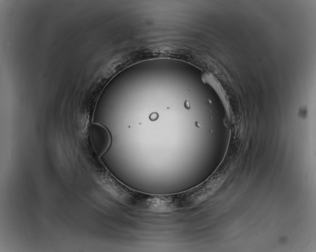 X0000100190660200805301248