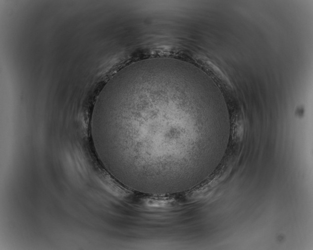 X0000100190661200805301248