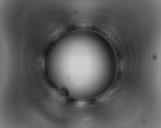 X0000100190662200805301248