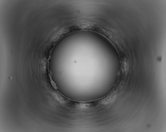 X0000100190664200805301248
