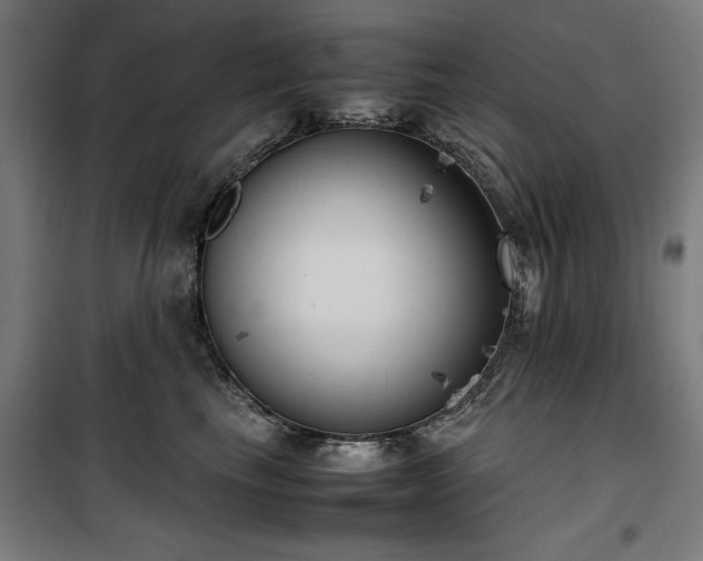 X0000100190665200805301248