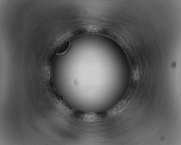 X0000100190666200805301248