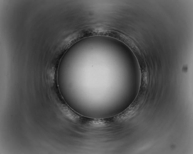 X0000100190668200805301248