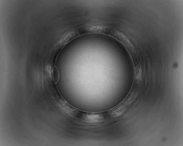 X0000100190669200805301248
