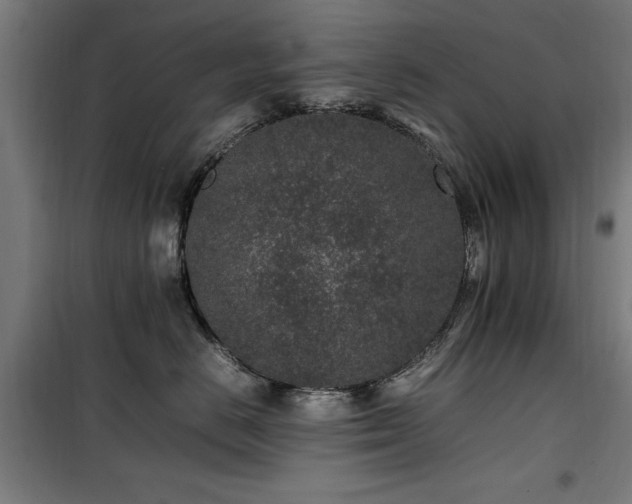 X0000100190670200805301248