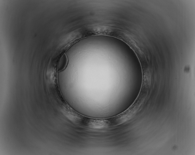 X0000100190671200805301248