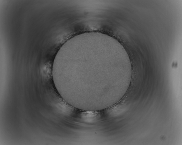 X0000100190672200805301248