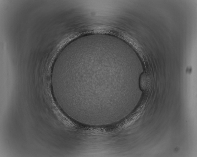 X0000100190673200805301248
