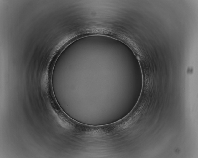 X0000100190674200805301248