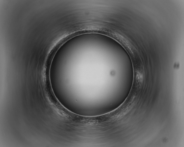 X0000100190676200805301248
