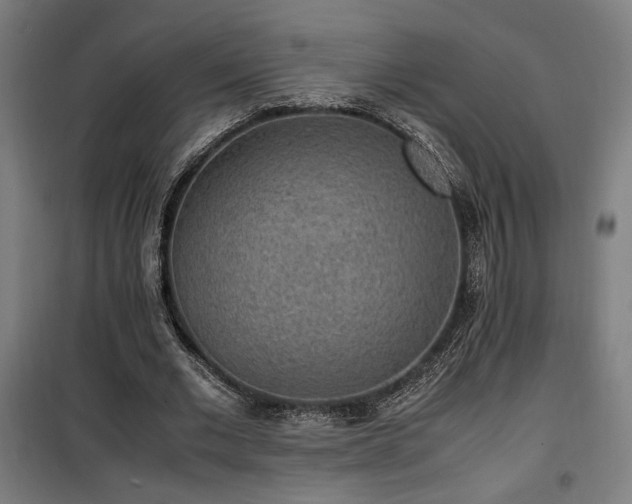 X0000100190677200805301248