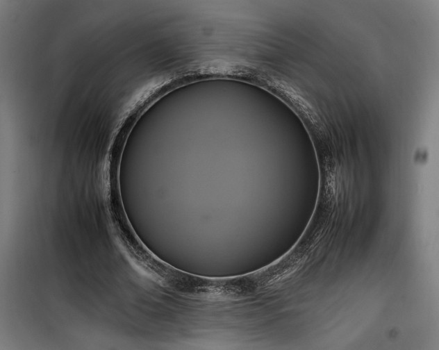 X0000100190678200805301248