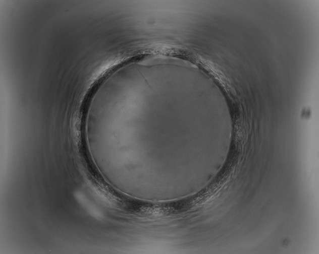X0000100190679200805301248