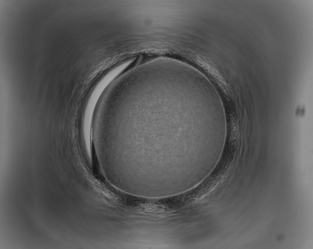 X0000100190681200805301248
