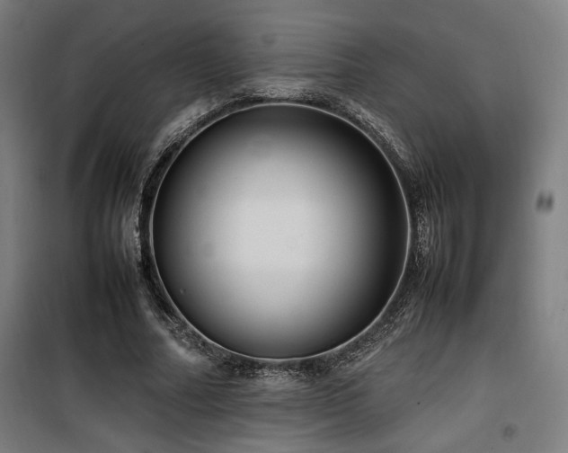 X0000100190682200805301248