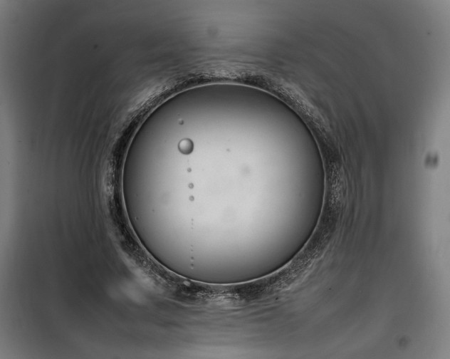 X0000100190683200805301248