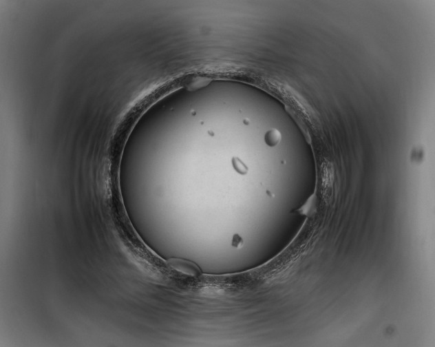X0000100190684200805301247