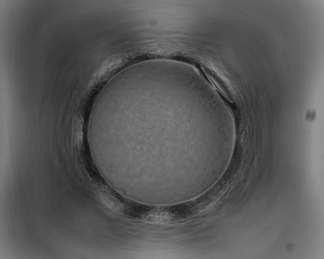 X0000100190685200805301247