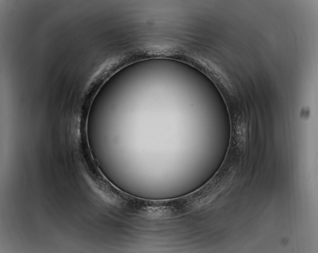 X0000100190686200805301247
