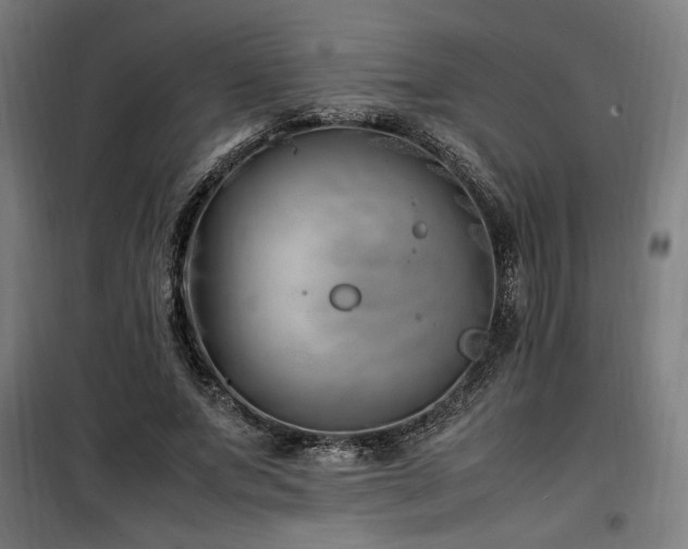 X0000100190687200805301247