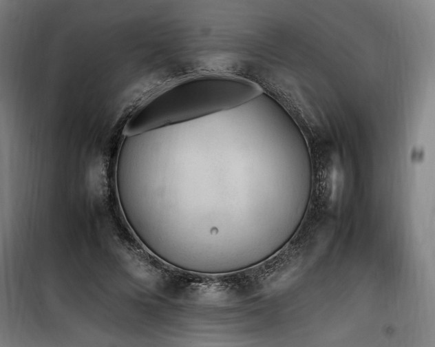X0000100190688200805301247