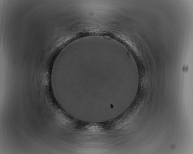 X0000100190689200805301247