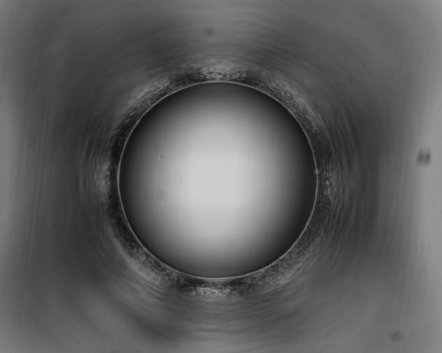 X0000100190690200805301247