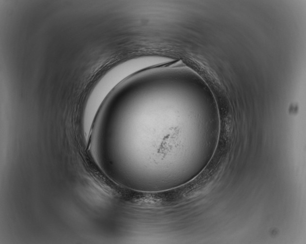 X0000100190691200805301247